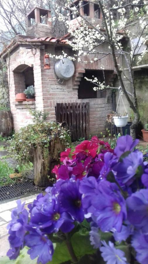 Casa Patti Alle Porte Di เซียนา ภายนอก รูปภาพ