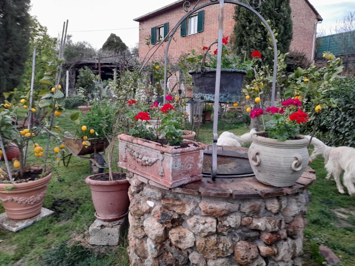 Casa Patti Alle Porte Di เซียนา ภายนอก รูปภาพ